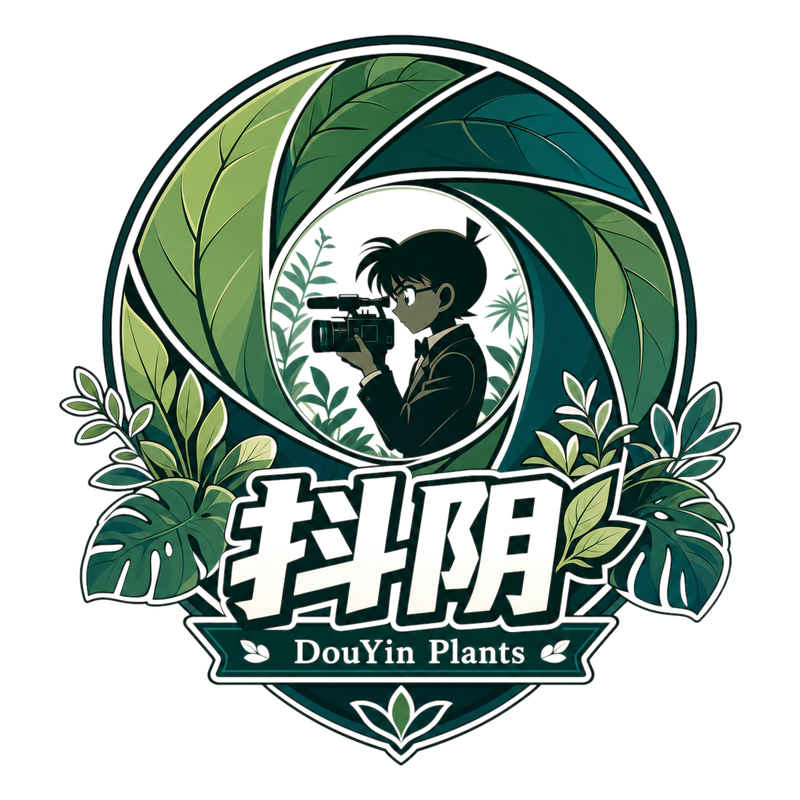 抖阴